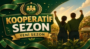 Slotime Kooperatif Sezon Haberi